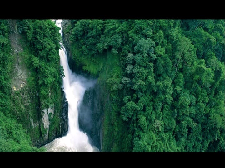 6th International Hornbill Conference, Dr. Vijak Chimchome, slide 58