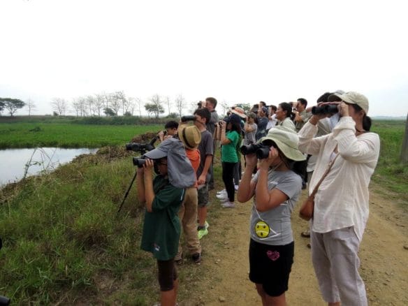 Kids and adults using their binoculars to spot the birds in the marsh. Photo by Maia Tanedo