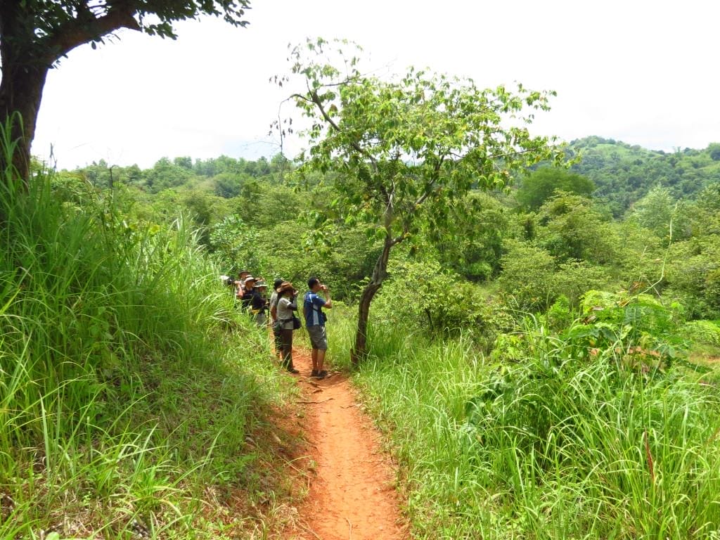 Birding in a grassy area in Timberland. Photo by Vincent Lao