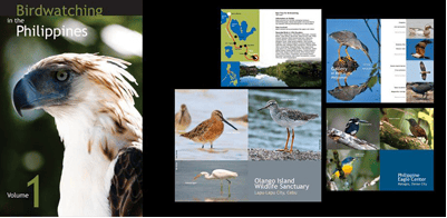 Screen Shot 2013-07-03 at 10.00.01 AM