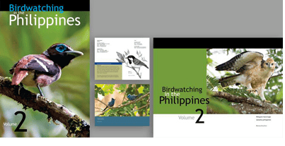 Screen Shot 2013-07-03 at 10.00.29 AM