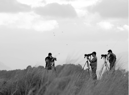 Searching for migrant water-birds at Candaba with follow contestants Ivan and Bram, highlight of the day was Shelduck, a Philippine lifer for us all! Photo by Rob Hutchinson.