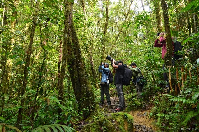 Team Philippines in action at Mt. Kinabalu.