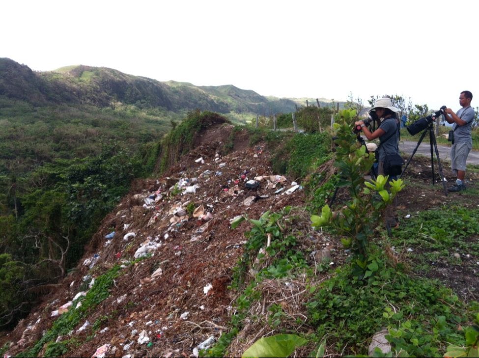 Birders/Photographers delight! A dump site. Photo by Kitty Arce.