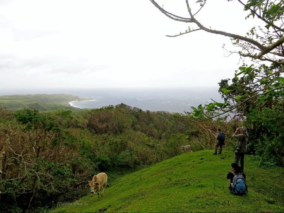 Rob, Christian and Kitty enjoying the beautiful view at the Whistling Green Pigeon site and watching out for more birds. Photo by Irene Dy.