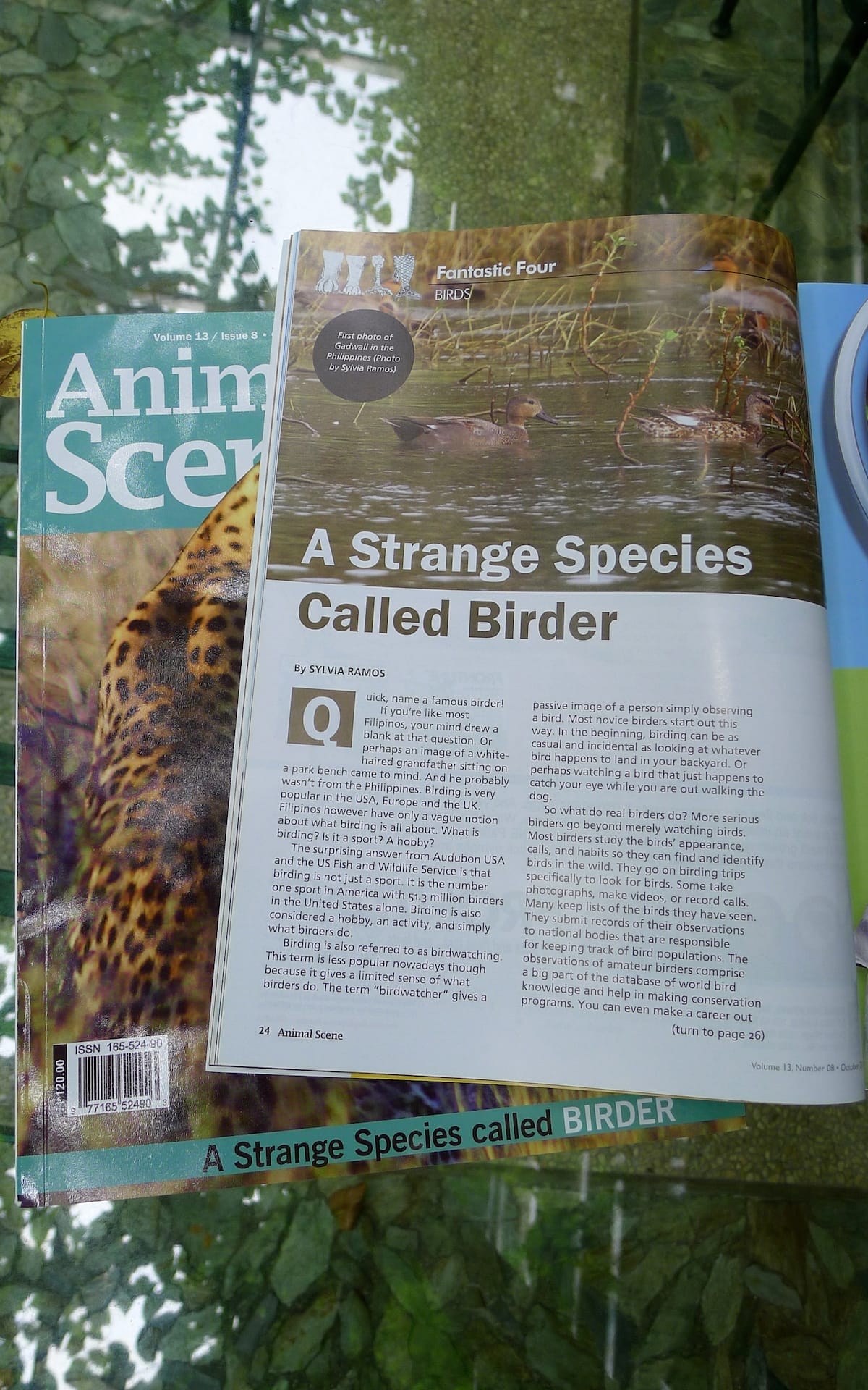 Animal Scene, October 2013