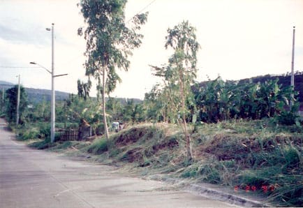 Before, when it was all bare.