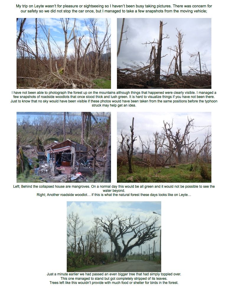 stijn de win typhoon haiyan