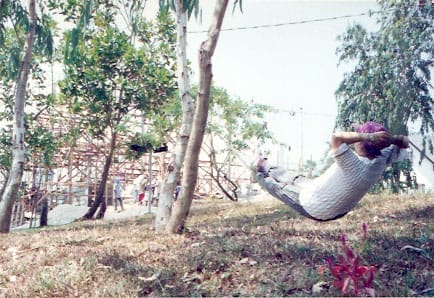 Watching from hammock.