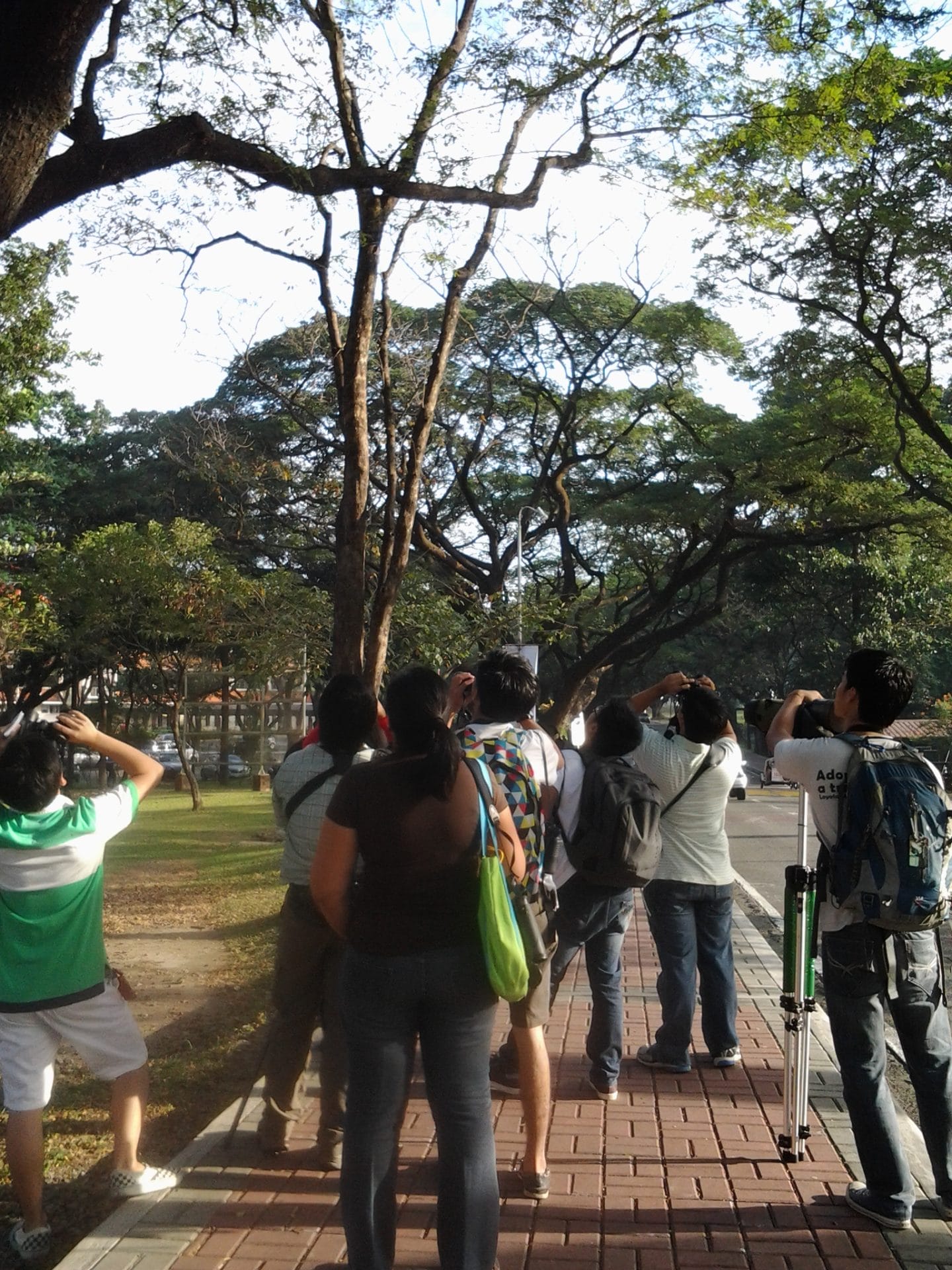 Discovering birds in their campus. Photo by Maia Tanedo