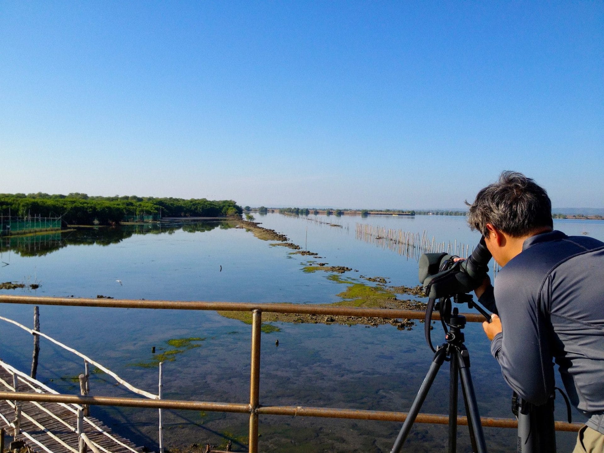 Scoping out birds. Photo by Tere Cervero