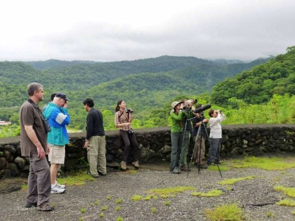 WBCP members took out visiting birders from Australia, Mark Bennett and Chris Christoferson to Mt. Palay-Palay and Caylabne Bay. Photo by  Karen Ochavo