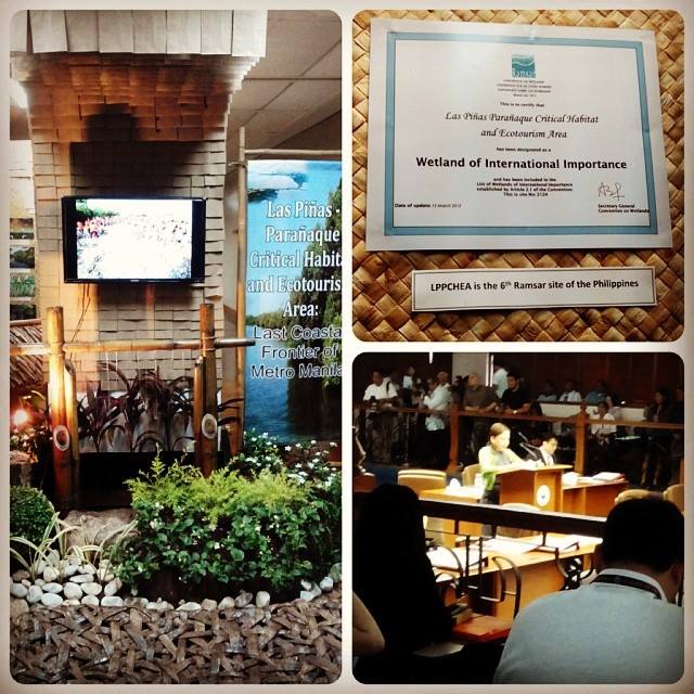 10013809_10201638621511811_1775891028_n