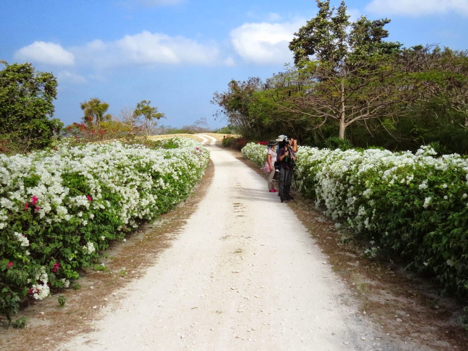 Calatagan_March201412