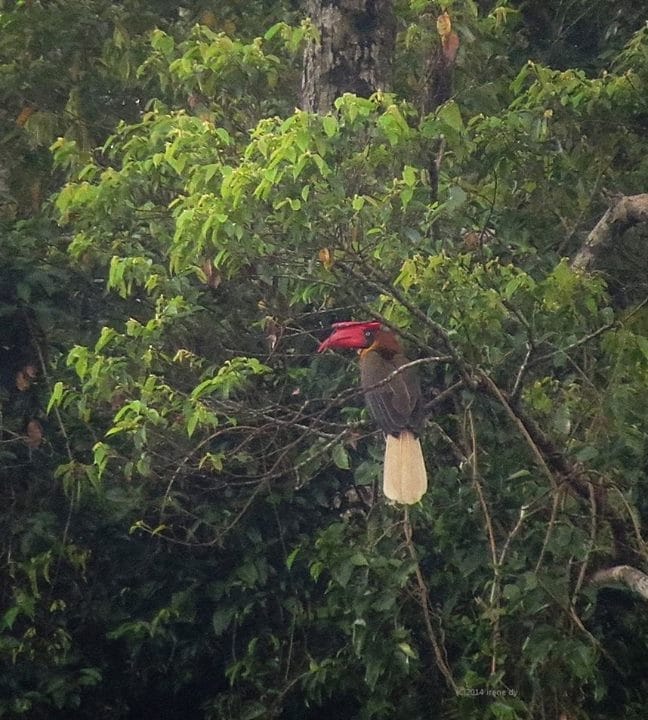 10013229_10152125954464160_1317668892_n