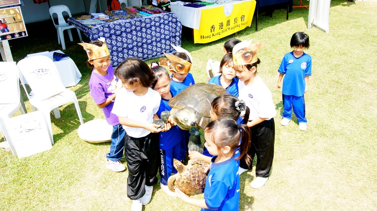 students playing with the turtle props of TCS 