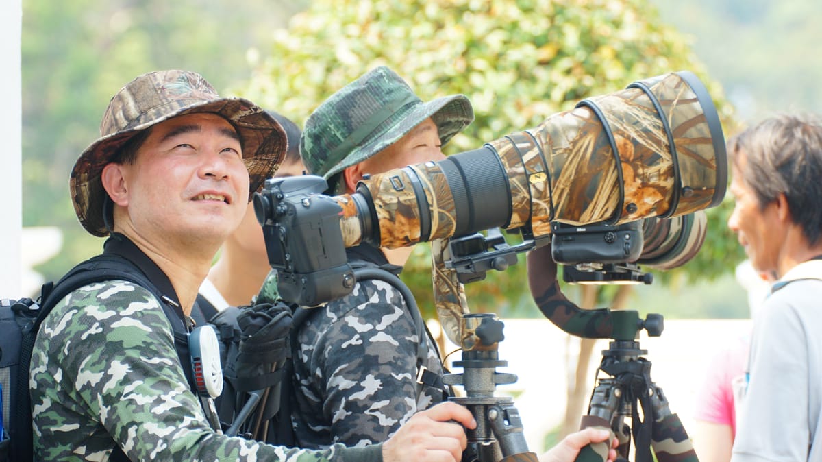 professional photographer scanning the horizon