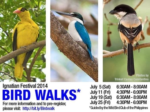 10513483_913151728711294_6069750932864478001_n