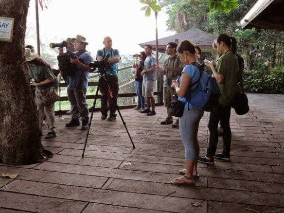 One of the WBCP Guided Trips that introduces the nonbirding community to birdwatching. Photo credit: Maia Tañedo 