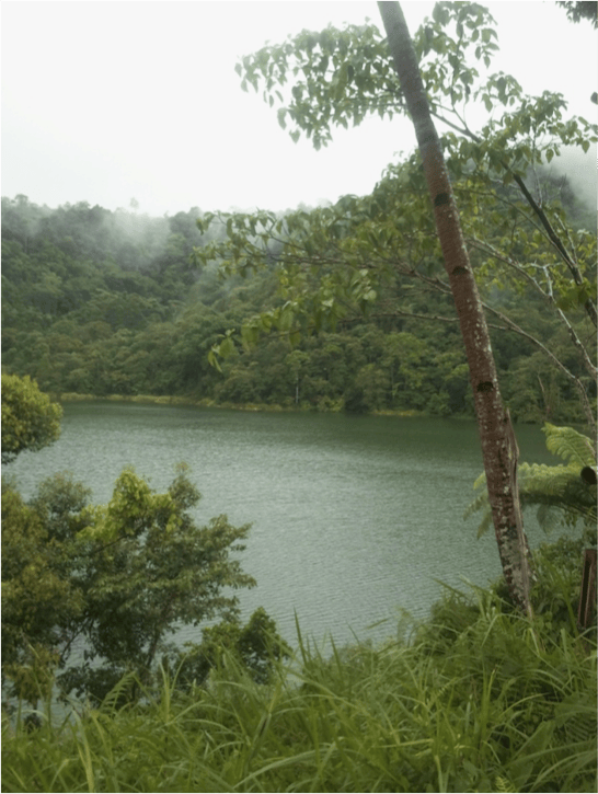 Lake Maragang within Mt. TimolanProteced Landscape, refuge for Philippine Ducks.  Photo by Adri Constantino.