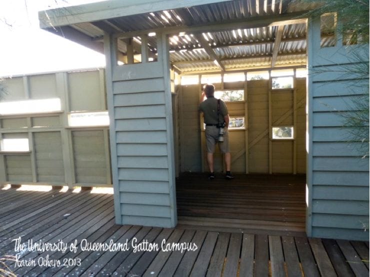 Bird hide next to a lake at The University of Queensland Gatton Campus in Lockyer Valley, Queensland. 