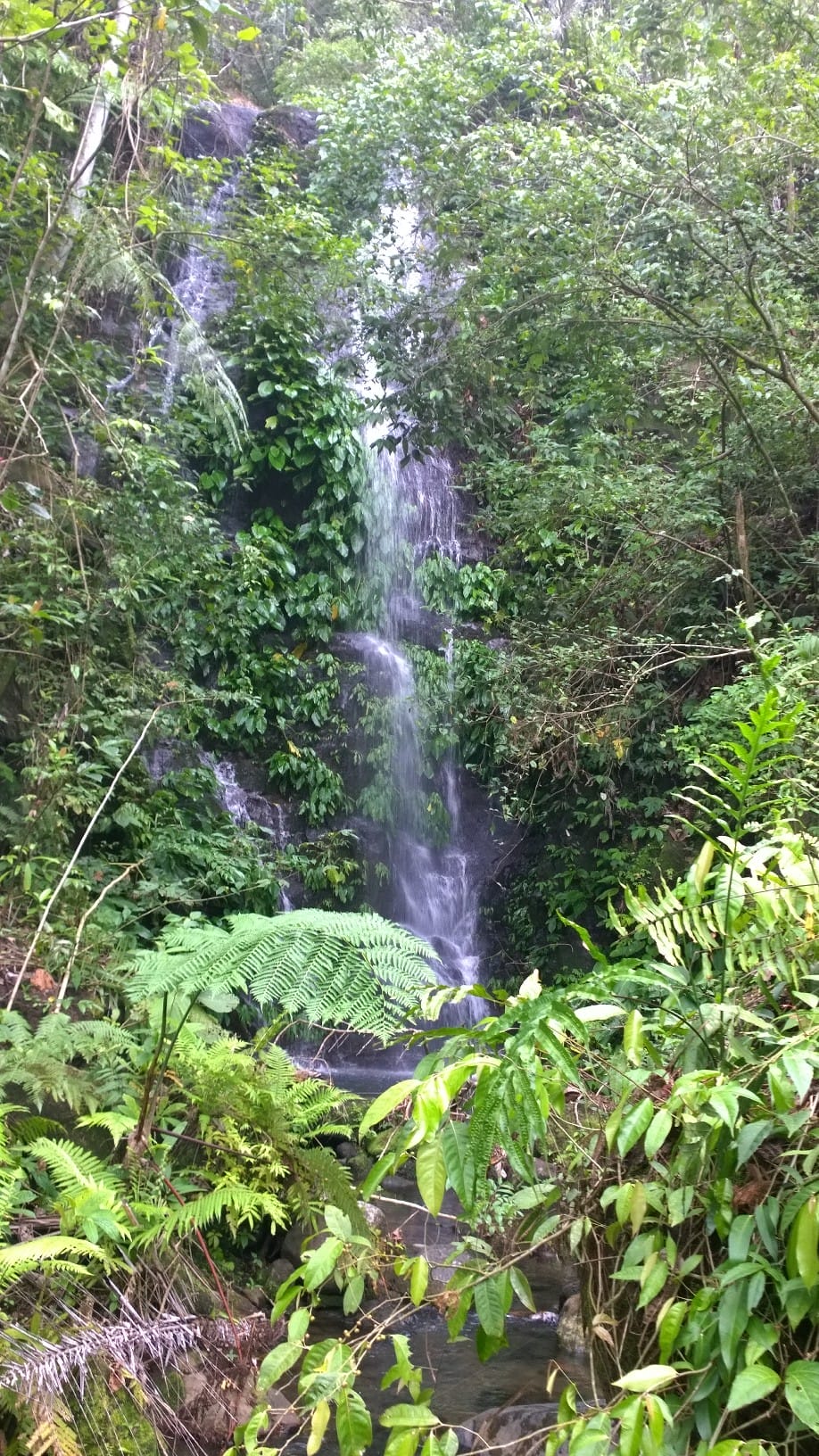 Close up of Maapon Falls. Photo by Alexander Elias