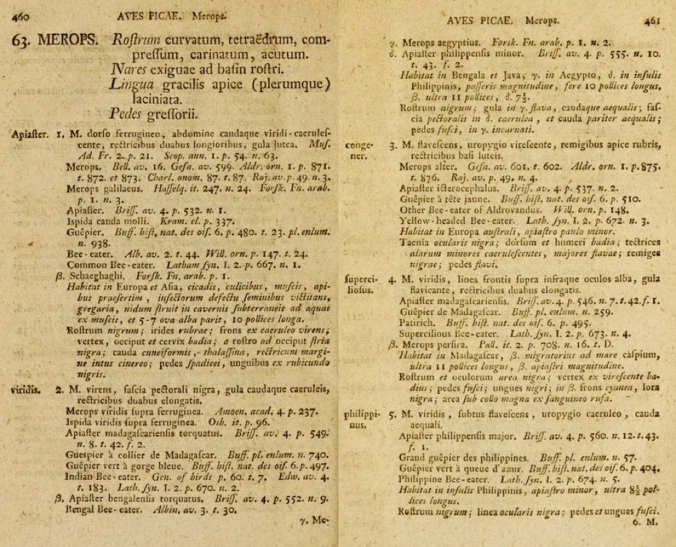 Two pages from Gmelin’s edition of Systema Naturae describing five species under the genus Merops (Bee-eater): species number 2 is Merops viridis and species number 5 M. philippinus.