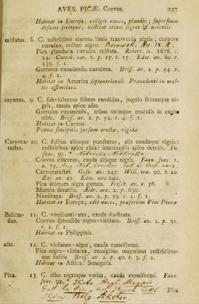 Page 157 of the 12th edition (1766) of Systema Naturae with a description of the Balicassiao (bird number 11 Corvus balicassius) with the statement Habitat in Philippinis (lives in the Philippines)