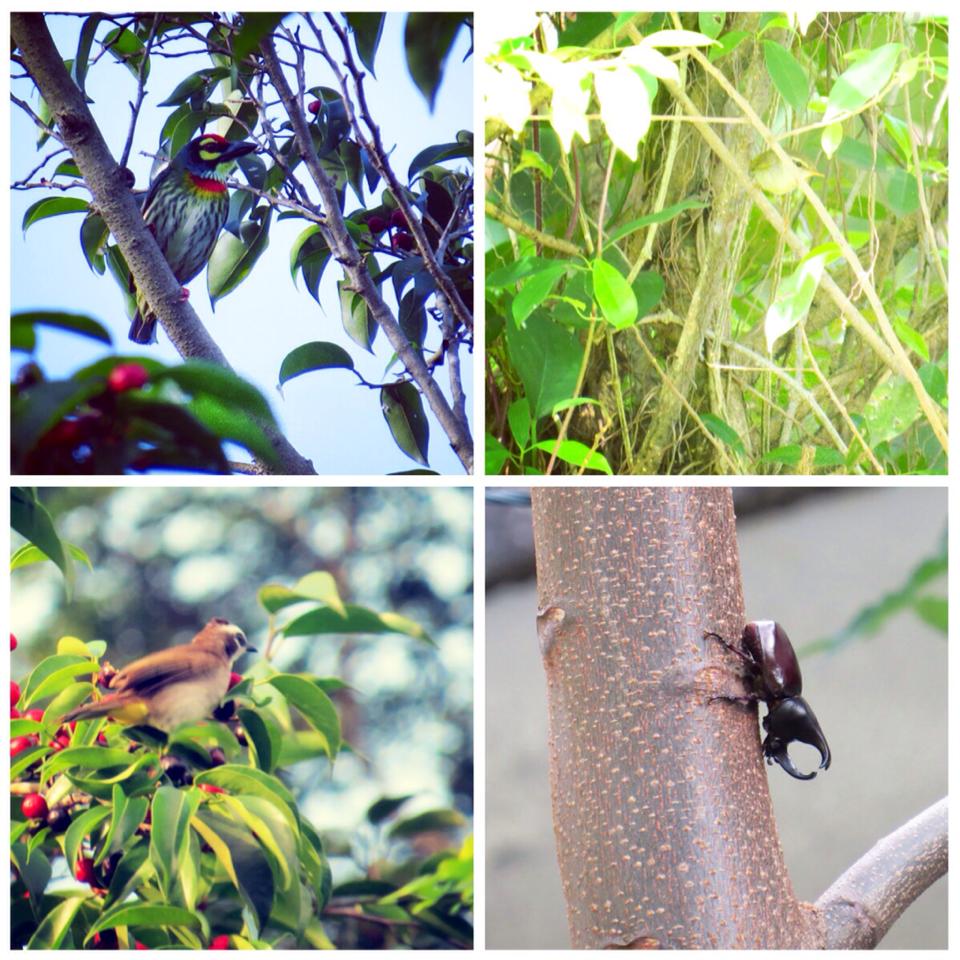 10419446_10152664931884635_1396247874666235176_n