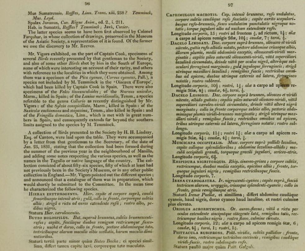 Pages 96 and 97 of Proceedings of the Zoological Society 1830-31 (Vigors’ account starts in the middle of page 96 on the left side)