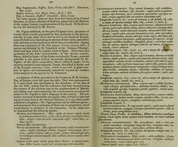 Pages 96 and 97 of Proceedings of the Zoological Society 1830-31 (Vigors’ account starts in the middle of page 96 on the left side)
