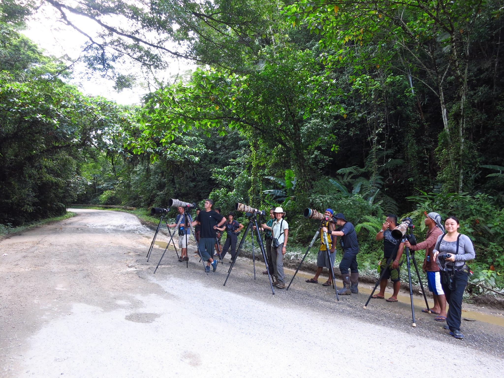 Roadside birding was very productive! Photo by Ixi Mapua.