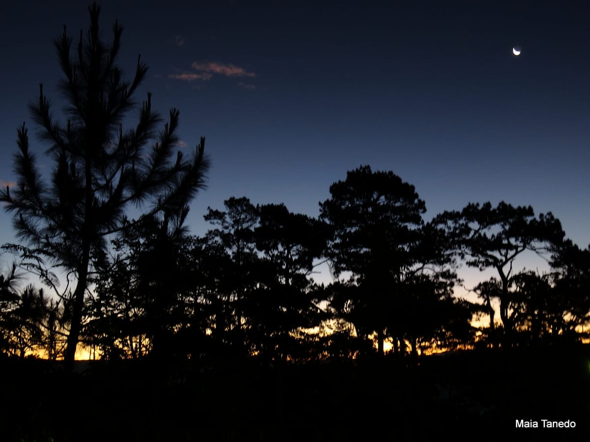 The sun was starting to rise when we arrived at the hotel