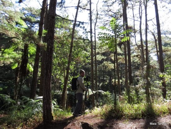 Jops birding in the Eco Trail