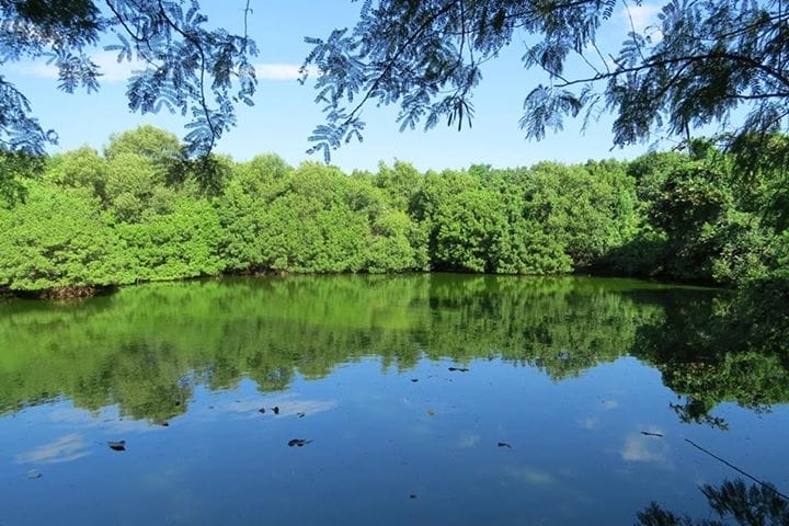 10150527_10152727045859160_209818883331169726_n