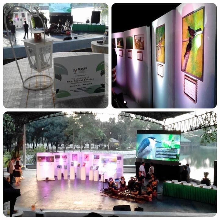 10942311_10203549417680521_6522301651084471267_n