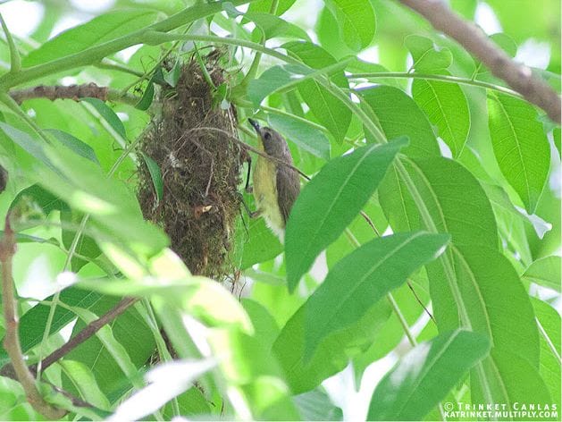 Screen Shot 2015-01-11 at 8.45.55 PM