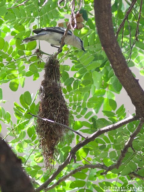 Screen Shot 2015-01-11 at 8.47.44 PM