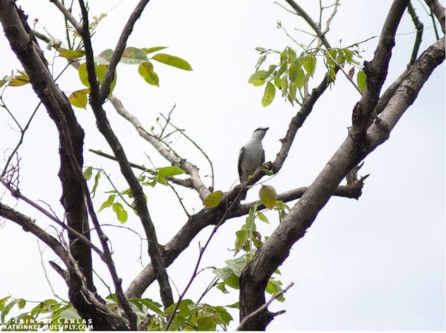 Screen Shot 2015-01-11 at 8.47.54 PM