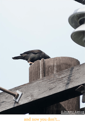 Screen Shot 2015-01-11 at 8.53.30 PM