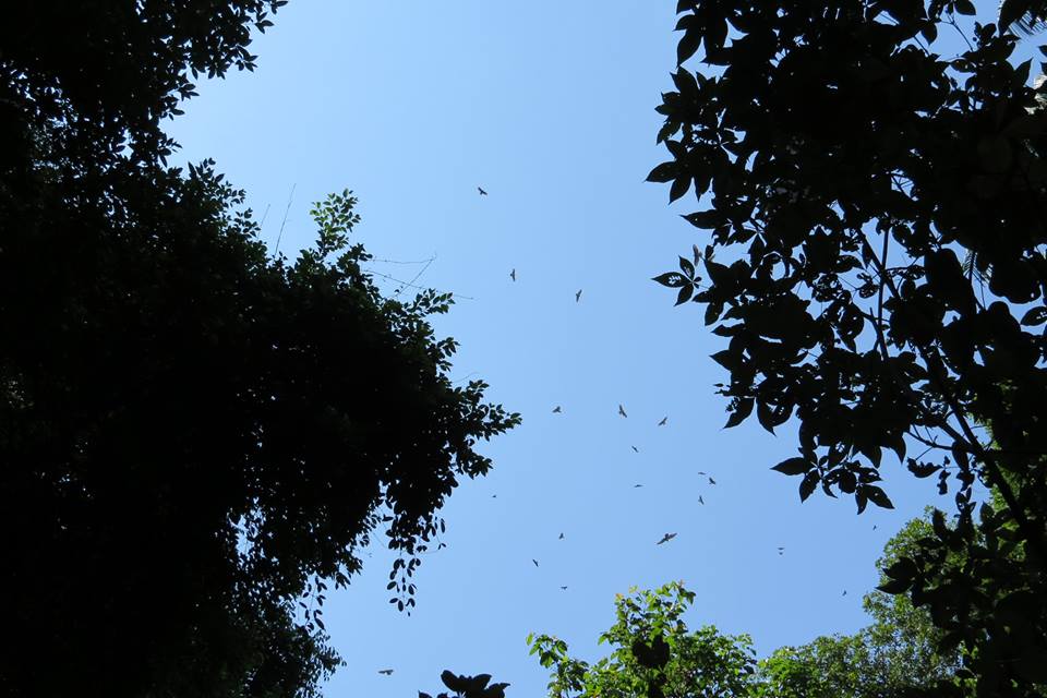 10544321_10152902425089160_9138757801465232057_n