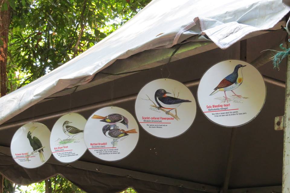 11026091_10152902428244160_2345894714236694115_n