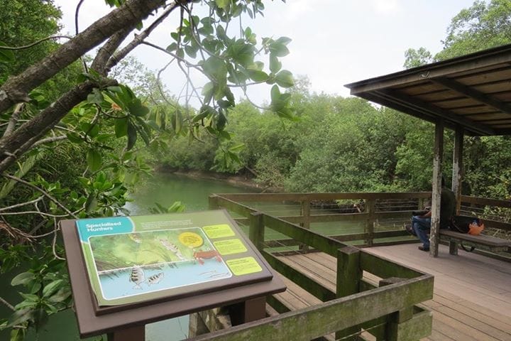 16402_10152915043914160_3883964229805630134_n