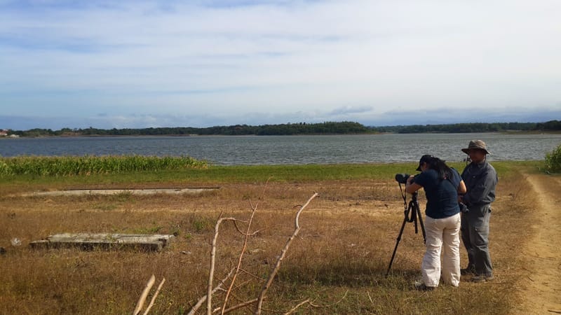 Alex Tiongco and Mel Tan counting ducks at the fishermen’s landing in Barangay Nanguyudan.
