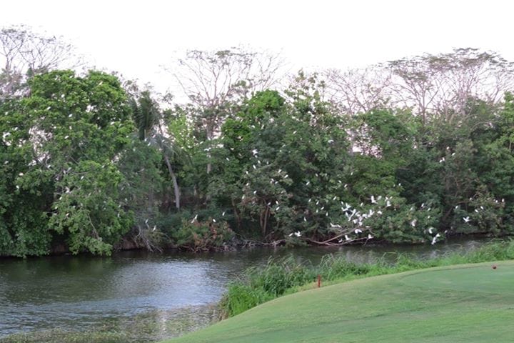 11148452_10152963934064160_5888884642478631522_n