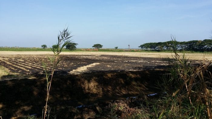 6 CANAL DIGGING BURNED FIELDS