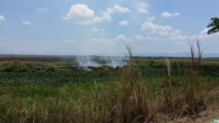 7 BURNING MAYOR HOUSE SIDE