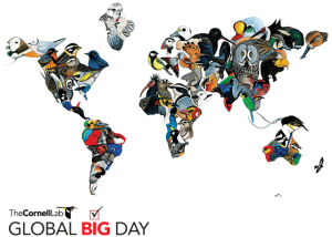 Global-Big-Day_map-560