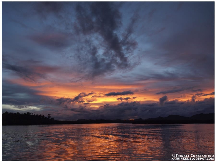 sunset at the mangroves