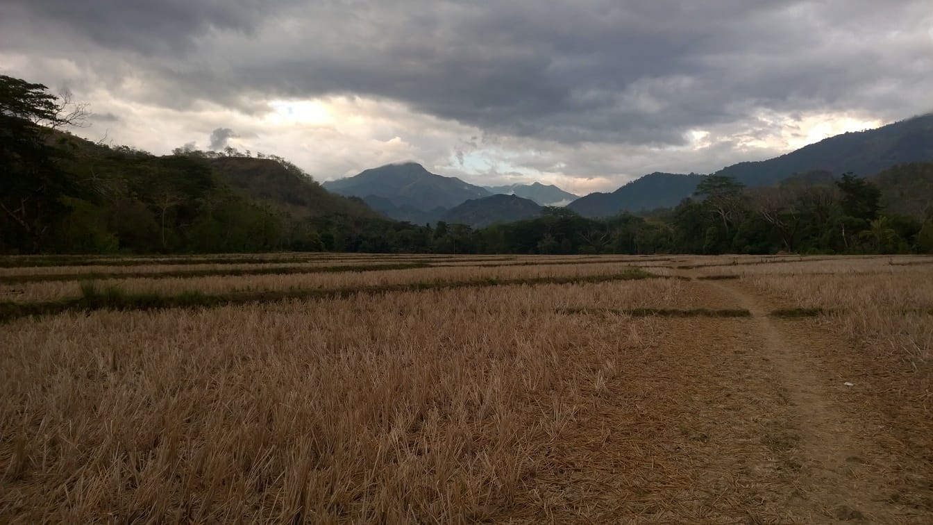 The landscape near the entrance of the park.